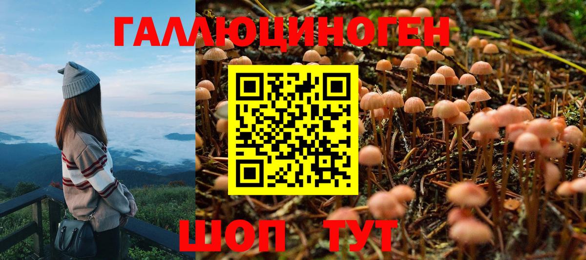 Галлюциногенные грибы Cubensis Семилуки