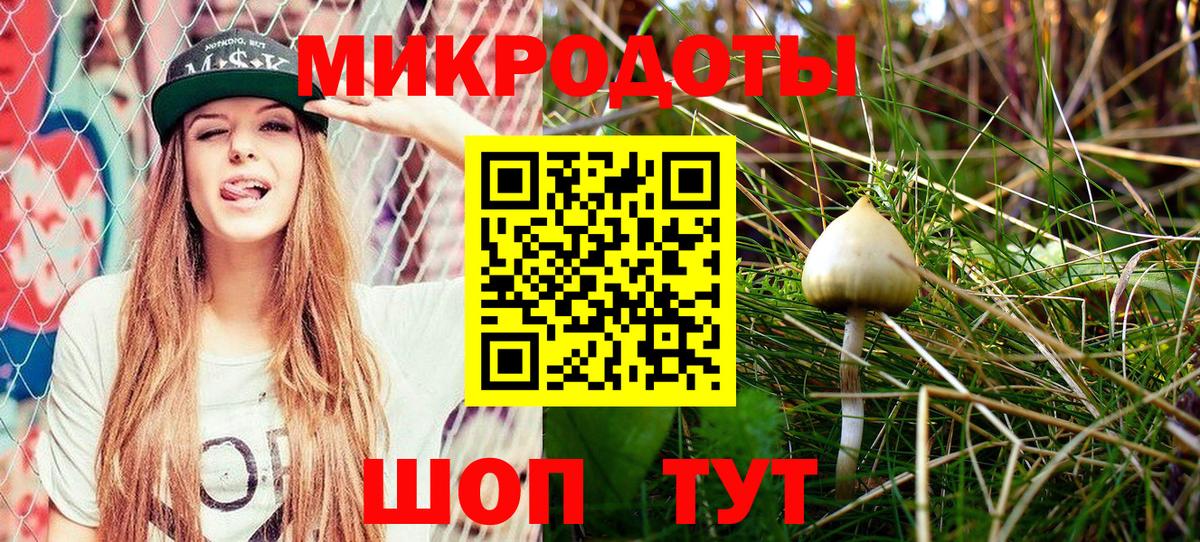 Псилоцибиновые грибы Psilocybine cubensis  Вход с VPN  Семилуки 
